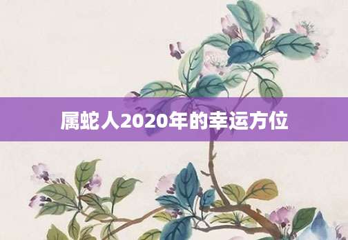 属蛇人2020年的幸运方位