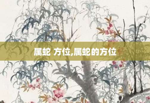属蛇 方位,属蛇的方位