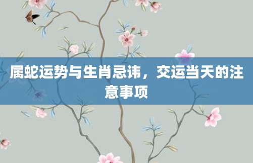 属蛇运势与生肖忌讳，交运当天的注意事项
