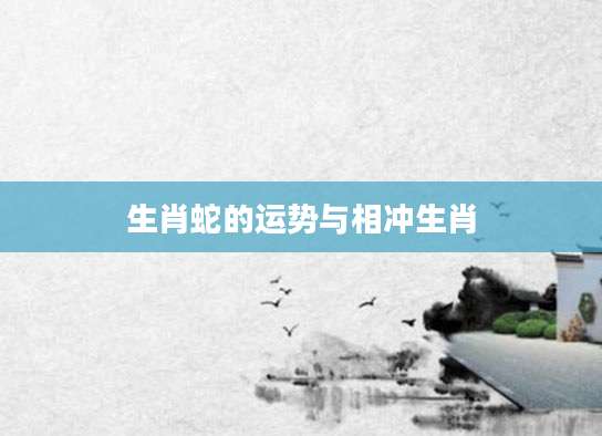 生肖蛇的运势与相冲生肖