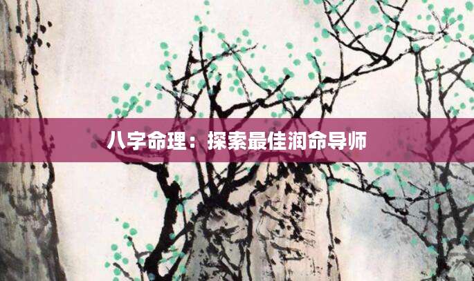 八字命理：探索最佳润命导师