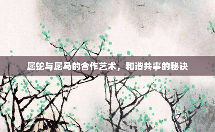属蛇与属马的合作艺术，和谐共事的秘诀