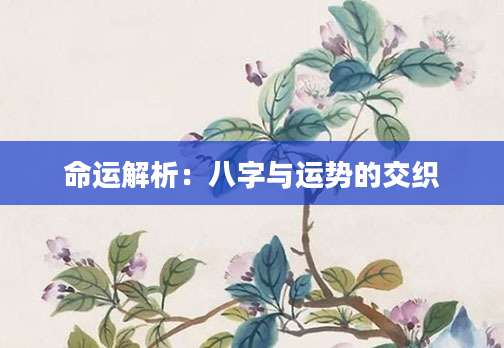 命运解析：八字与运势的交织