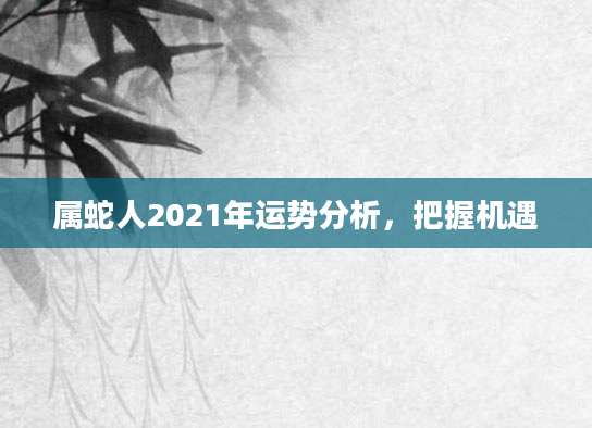 属蛇人2021年运势分析，把握机遇