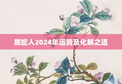 属蛇人2024年运势及化解之道