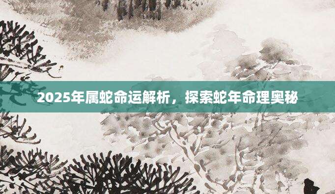 2025年属蛇命运解析，探索蛇年命理奥秘