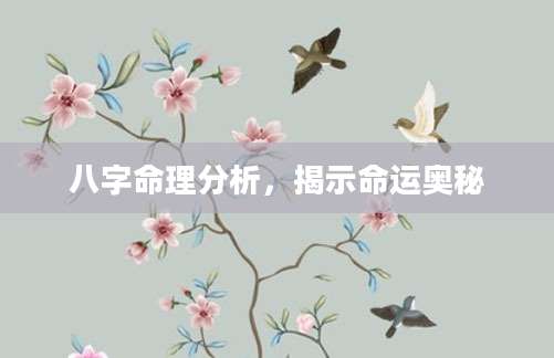 八字命理分析，揭示命运奥秘