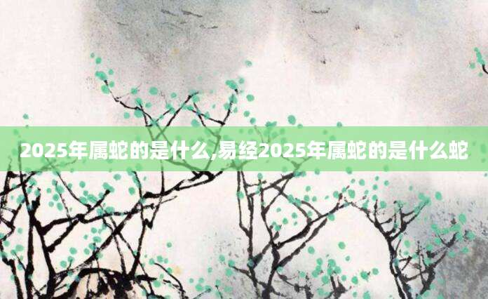 2025年属蛇的是什么,易经2025年属蛇的是什么蛇