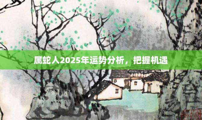 属蛇人2025年运势分析，把握机遇