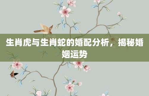 生肖虎与生肖蛇的婚配分析，揭秘婚姻运势