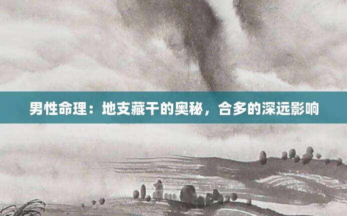 男性命理：地支藏干的奥秘，合多的深远影响