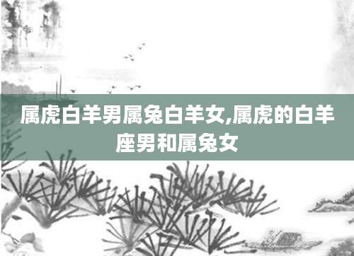 属虎白羊男属兔白羊女,属虎的白羊座男和属兔女