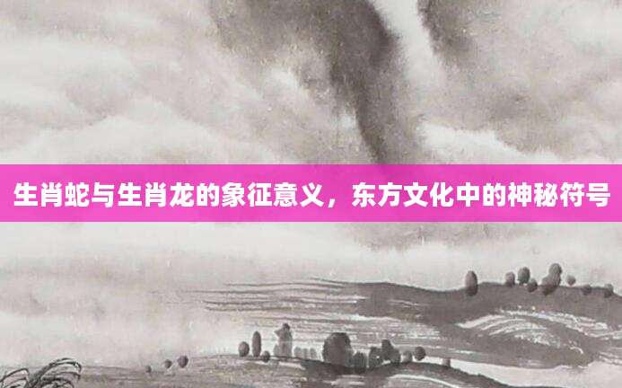 生肖蛇与生肖龙的象征意义，东方文化中的神秘符号