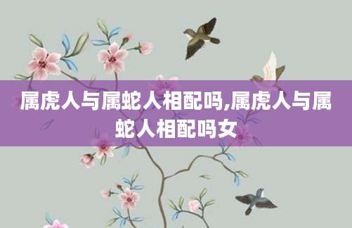 属虎人与属蛇人相配吗,属虎人与属蛇人相配吗女