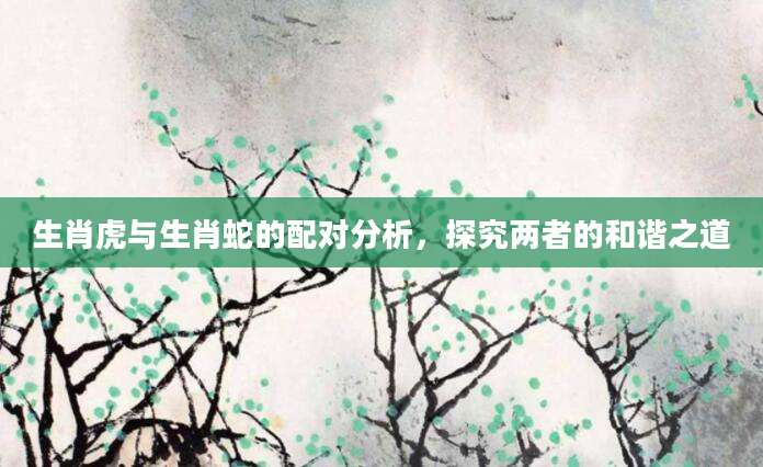 生肖虎与生肖蛇的配对分析，探究两者的和谐之道