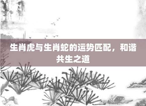 生肖虎与生肖蛇的运势匹配，和谐共生之道