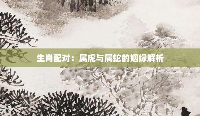 生肖配对：属虎与属蛇的姻缘解析