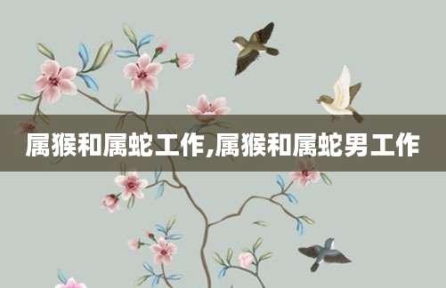 属猴和属蛇工作,属猴和属蛇男工作