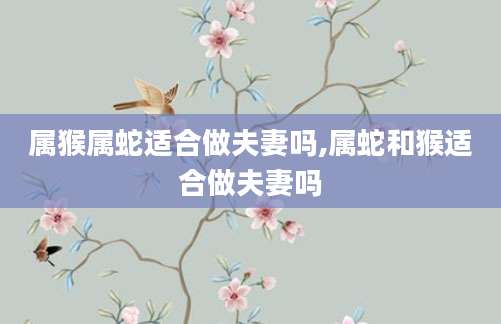 属猴属蛇适合做夫妻吗,属蛇和猴适合做夫妻吗