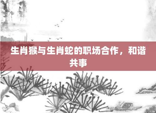 生肖猴与生肖蛇的职场合作，和谐共事