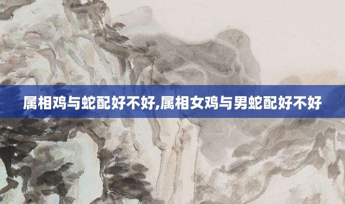 属相鸡与蛇配好不好,属相女鸡与男蛇配好不好