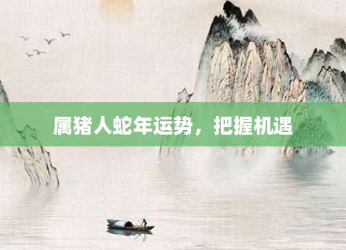属猪人蛇年运势，把握机遇