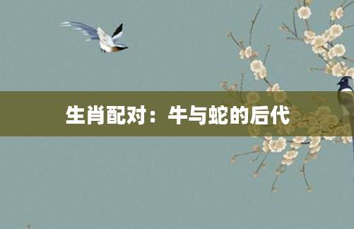 生肖配对：牛与蛇的后代