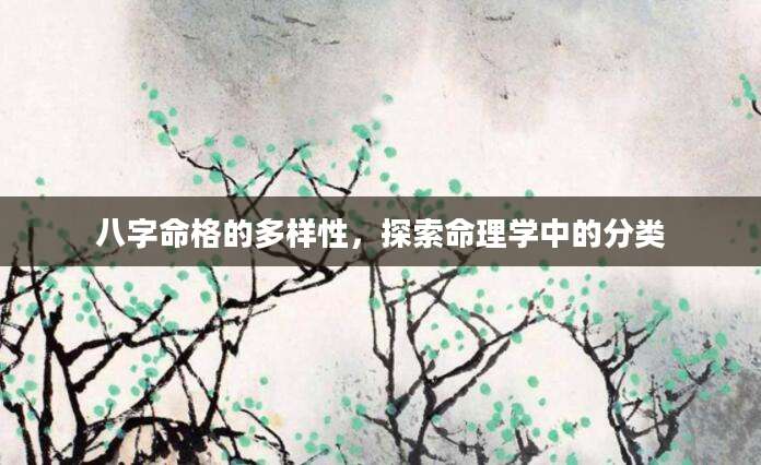 八字命格的多样性，探索命理学中的分类