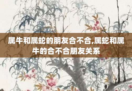 属牛和属蛇的朋友合不合,属蛇和属牛的合不合朋友关系