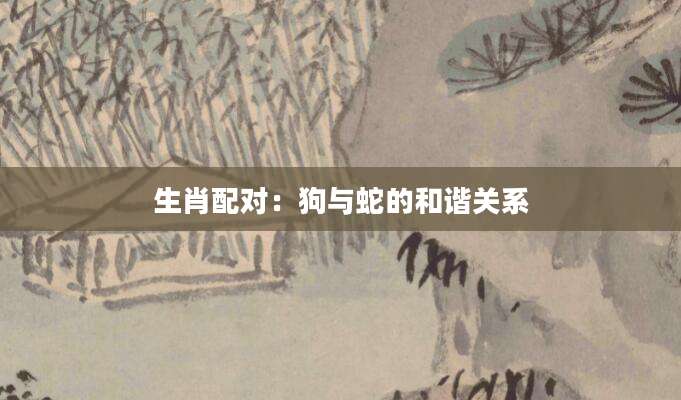 生肖配对：狗与蛇的和谐关系