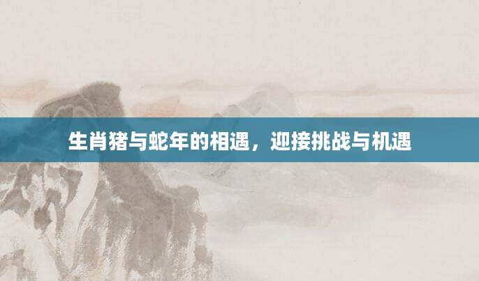 生肖猪与蛇年的相遇，迎接挑战与机遇