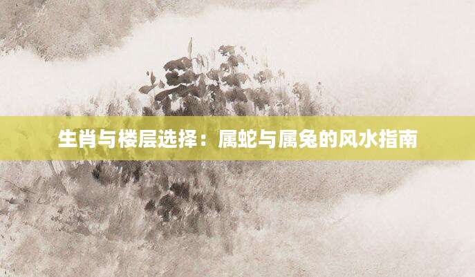 生肖与楼层选择：属蛇与属兔的风水指南
