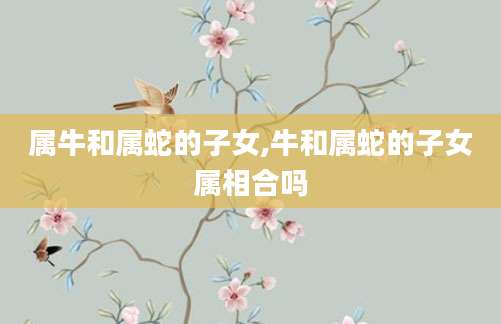 属牛和属蛇的子女,牛和属蛇的子女属相合吗