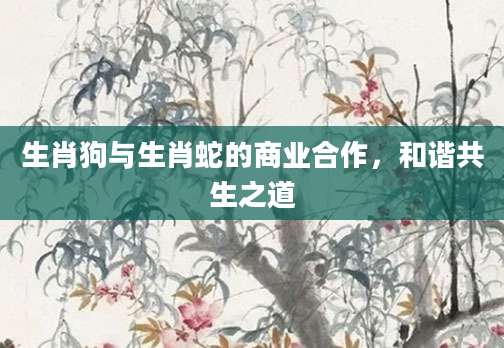 生肖狗与生肖蛇的商业合作，和谐共生之道