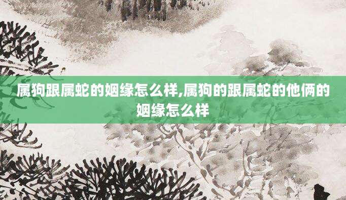 属狗跟属蛇的姻缘怎么样,属狗的跟属蛇的他俩的姻缘怎么样