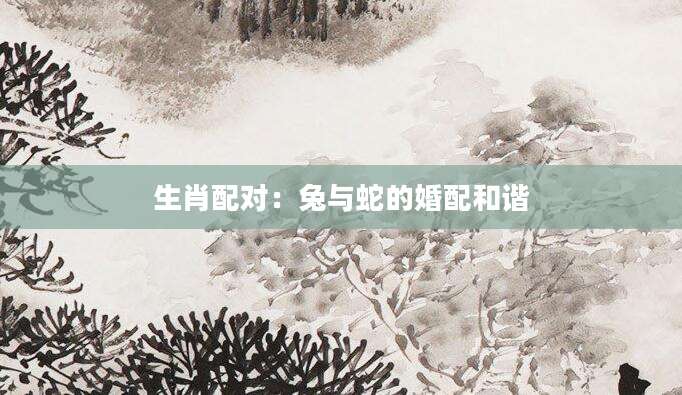 生肖配对：兔与蛇的婚配和谐