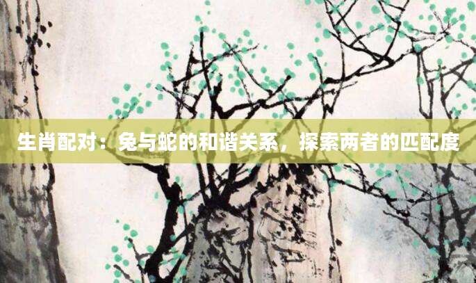 生肖配对：兔与蛇的和谐关系，探索两者的匹配度