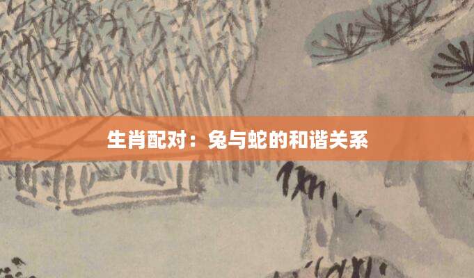 生肖配对：兔与蛇的和谐关系