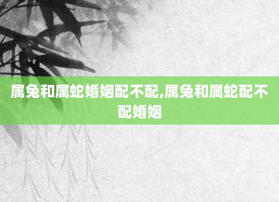 属兔和属蛇婚姻配不配,属兔和属蛇配不配婚姻