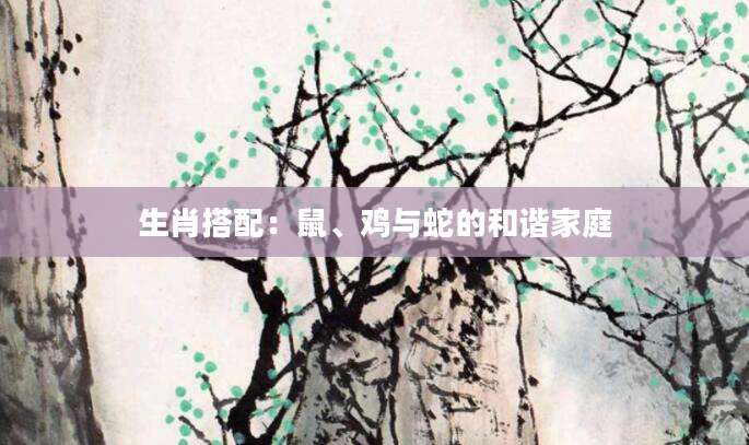 生肖搭配：鼠、鸡与蛇的和谐家庭