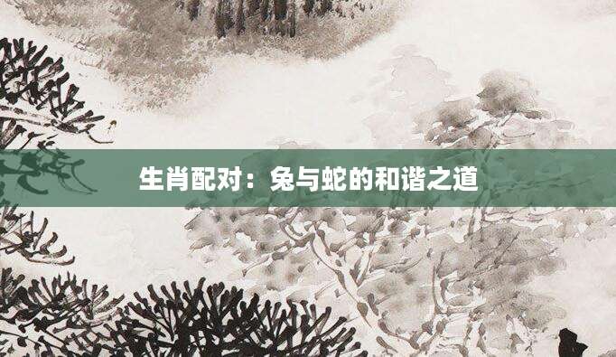 生肖配对：兔与蛇的和谐之道
