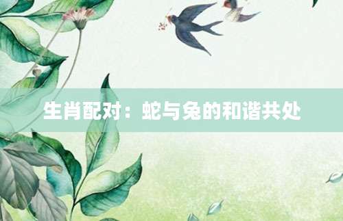 生肖配对：蛇与兔的和谐共处