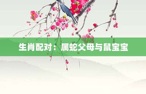 生肖配对：属蛇父母与鼠宝宝