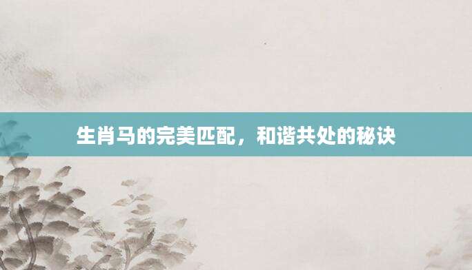 生肖马的完美匹配，和谐共处的秘诀