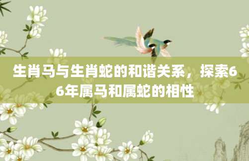 生肖马与生肖蛇的和谐关系，探索66年属马和属蛇的相性