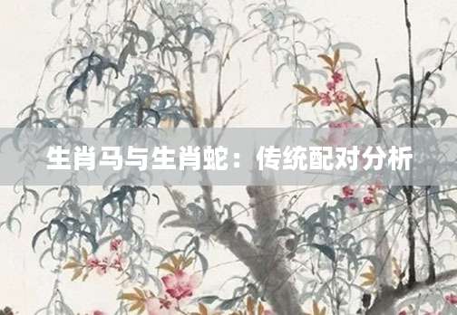 生肖马与生肖蛇：传统配对分析