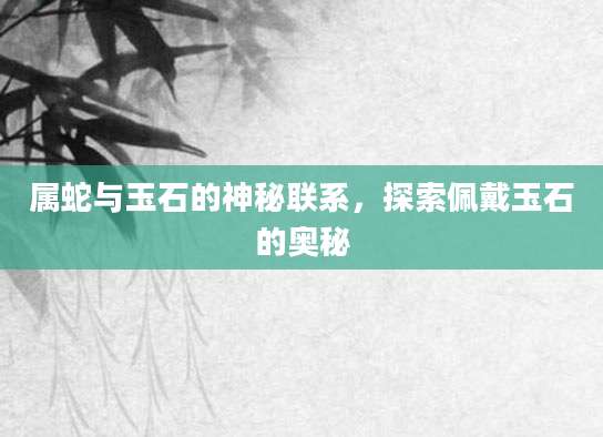 属蛇与玉石的神秘联系，探索佩戴玉石的奥秘