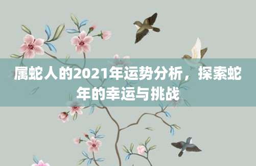 属蛇人的2021年运势分析，探索蛇年的幸运与挑战