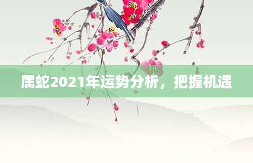 属蛇2021年运势分析，把握机遇