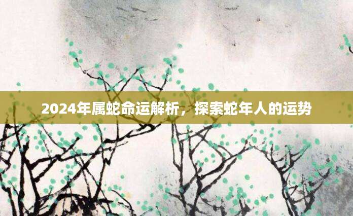 2024年属蛇命运解析，探索蛇年人的运势